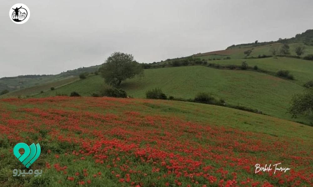 accommodation image